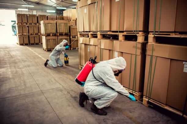 Best Exterminator Services  in Lincoln, CA