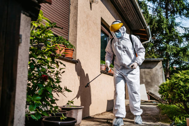 Best Pest Inspection Near Me  in Lincoln, CA