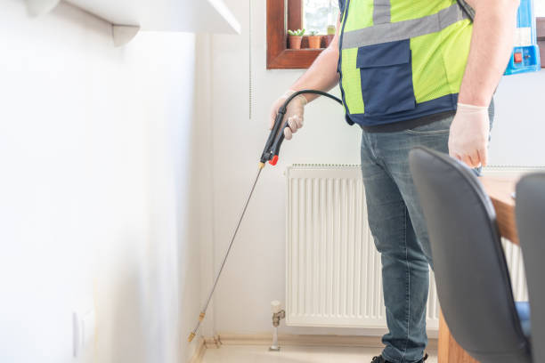 Best Flea Control Services  in Lincoln, CA