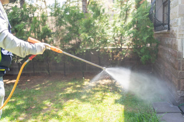 Best Mosquito Control Services  in Lincoln, CA