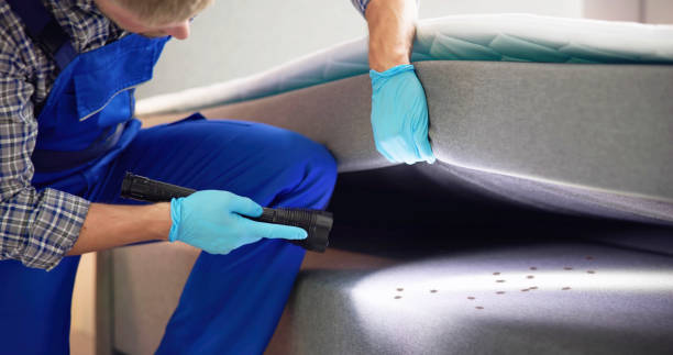 Best Rat Extermination Near Me  in Lincoln, CA