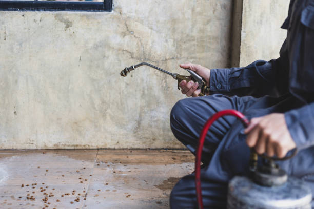 Best Best Pest Control Companies  in Lincoln, CA